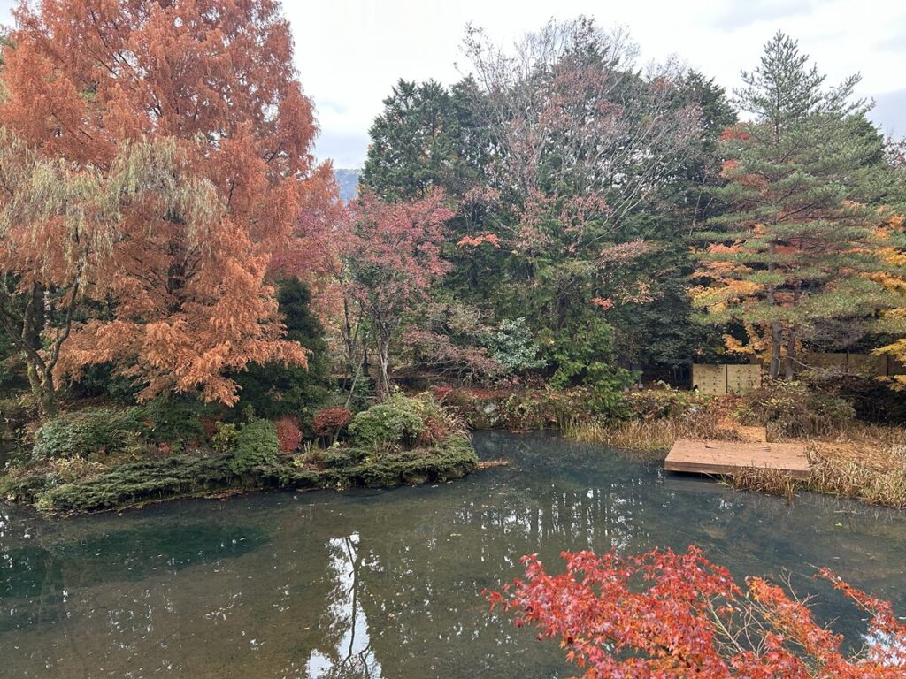 東急ハーヴェスト箱根甲子園 庭の紅葉