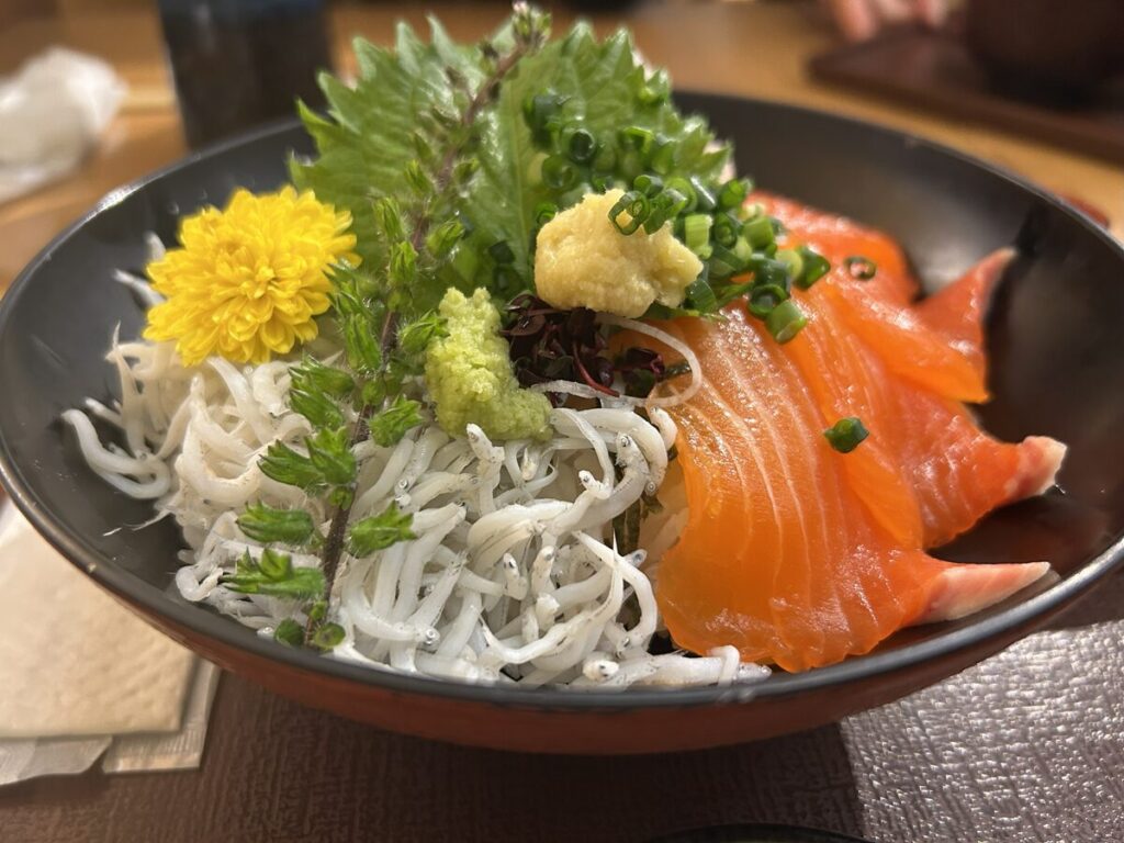 サーモンと釜揚げしらすの二色丼