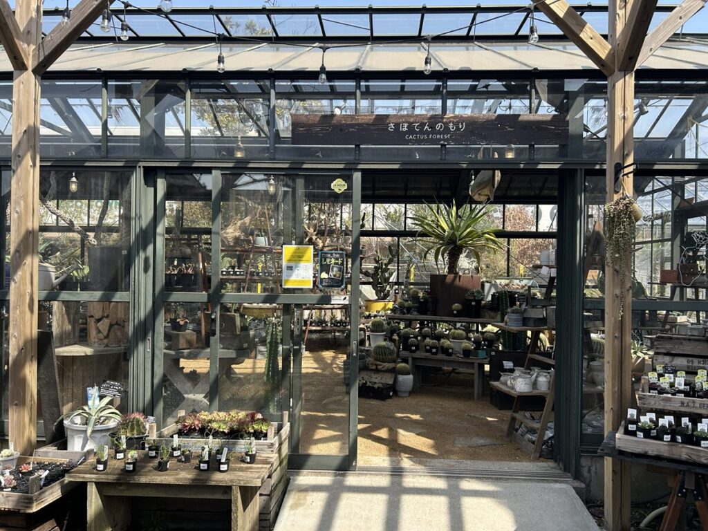 さぼてんのもり