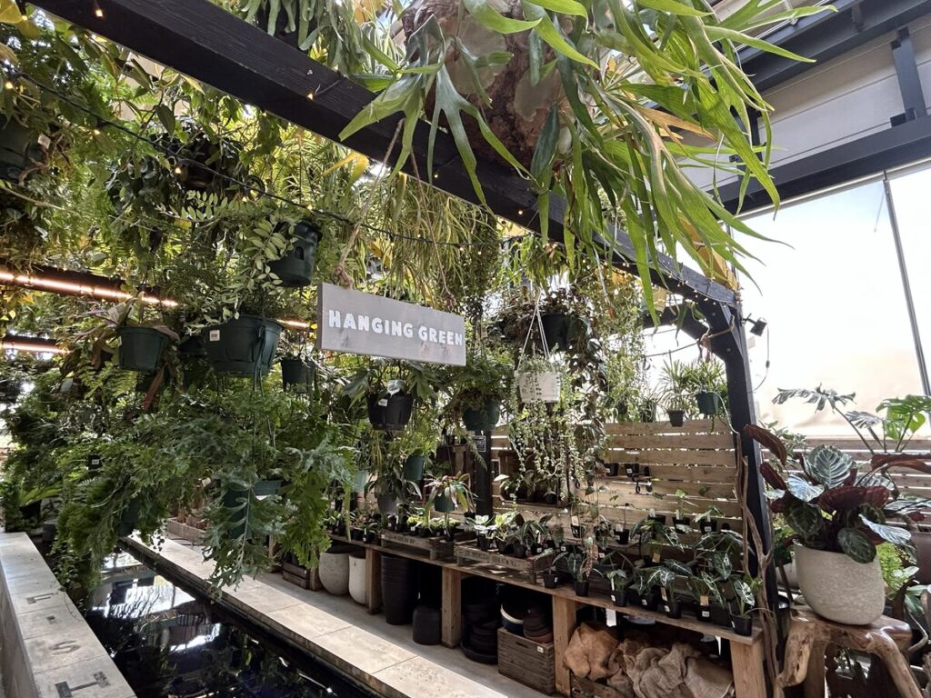 ハンギンググリーン