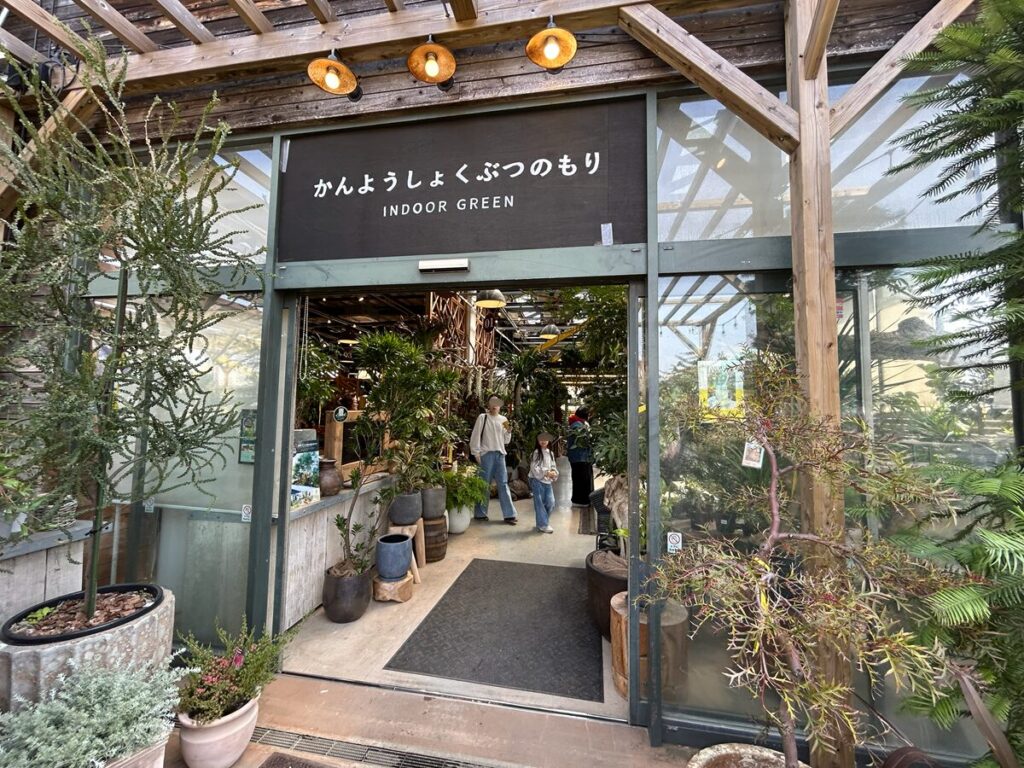 かんようしょくぶつのもり