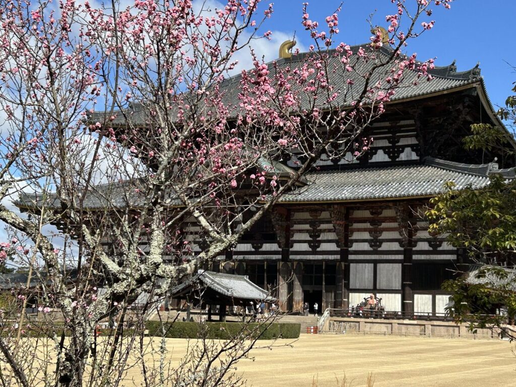 東大寺 大仏殿