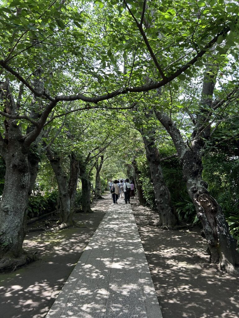 極楽寺参道