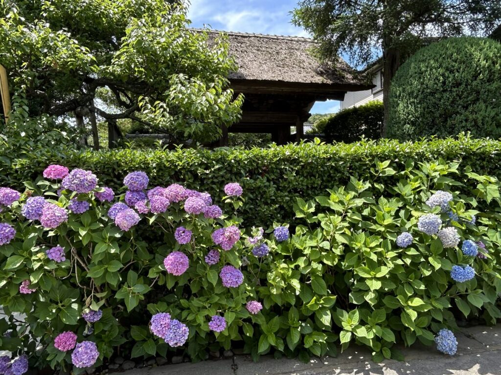 極楽寺