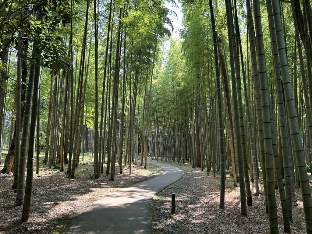 散策路