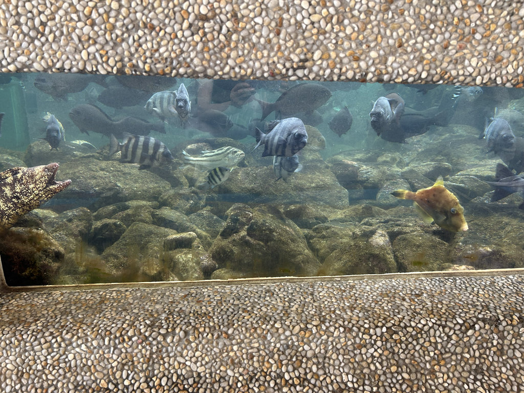 海辺の広場