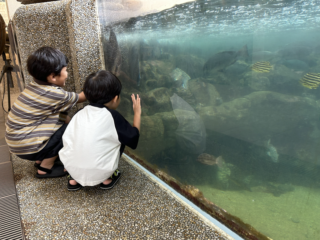 海辺の広場と子ども